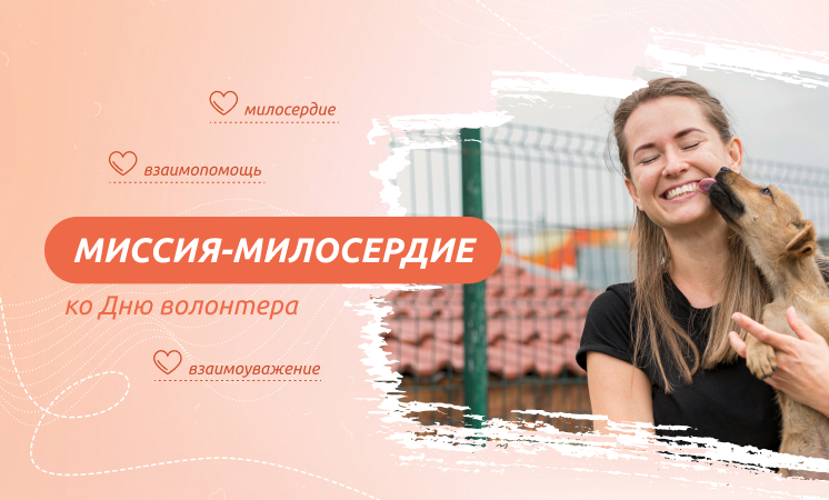 Разговоры о важном: &amp;quot;Миссия-милосердие&amp;quot;.